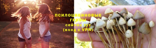 крисы Белоозёрский