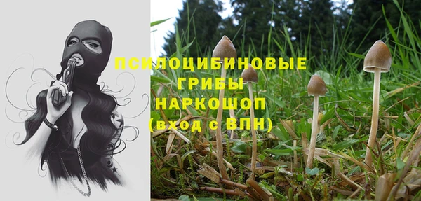 синтетический гашиш Снежинск