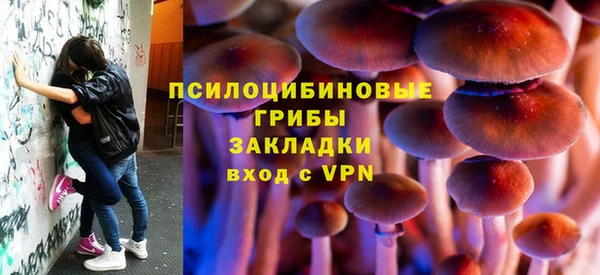 СК Слюдянка