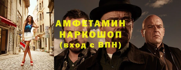 индика Беломорск