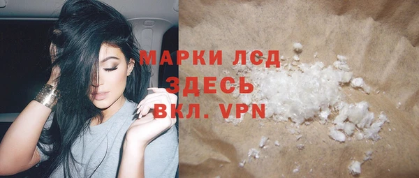 индика Беломорск